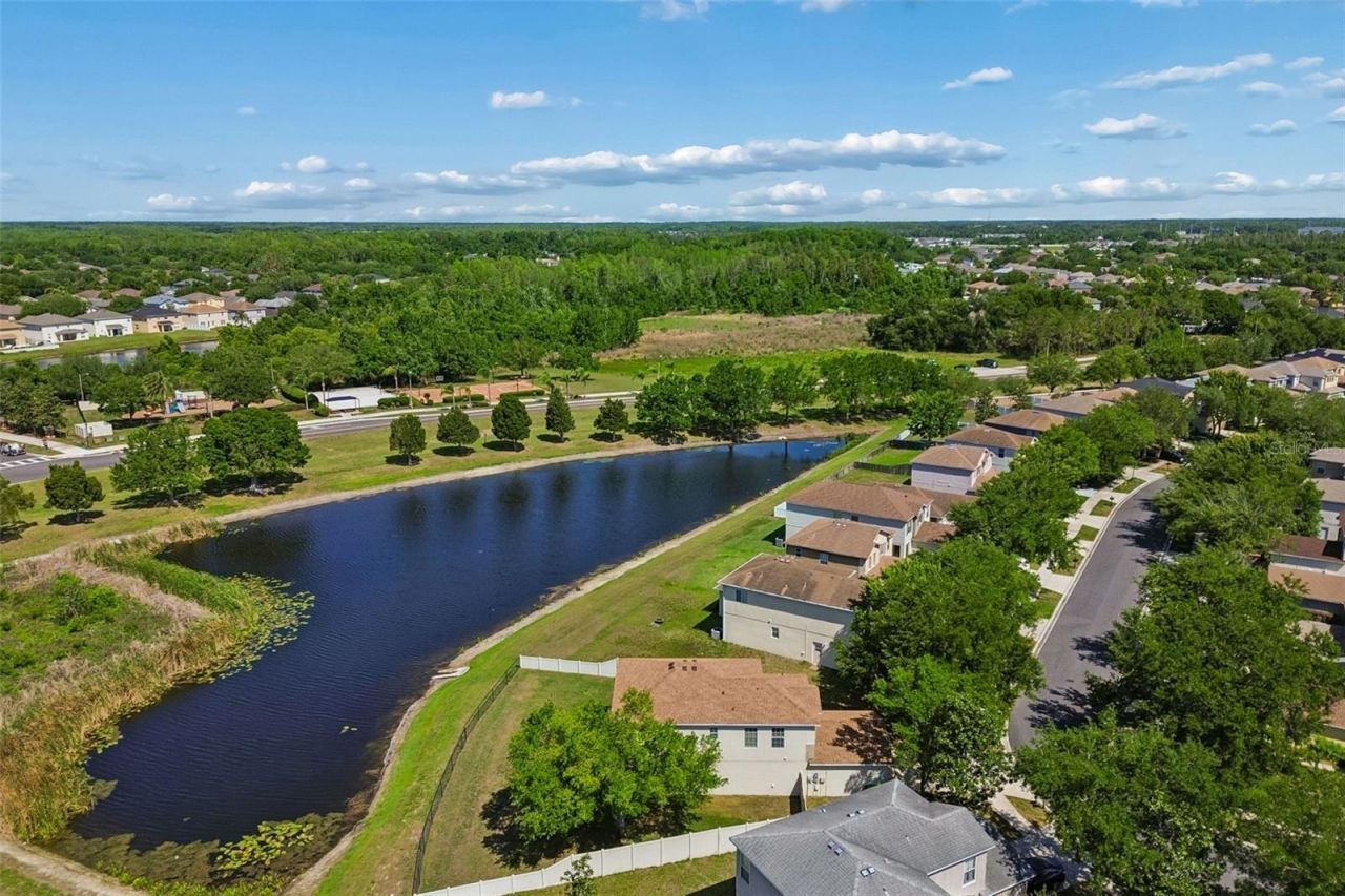 9515 Simeon Drive, Land O Lakes, FL 34638 Photo