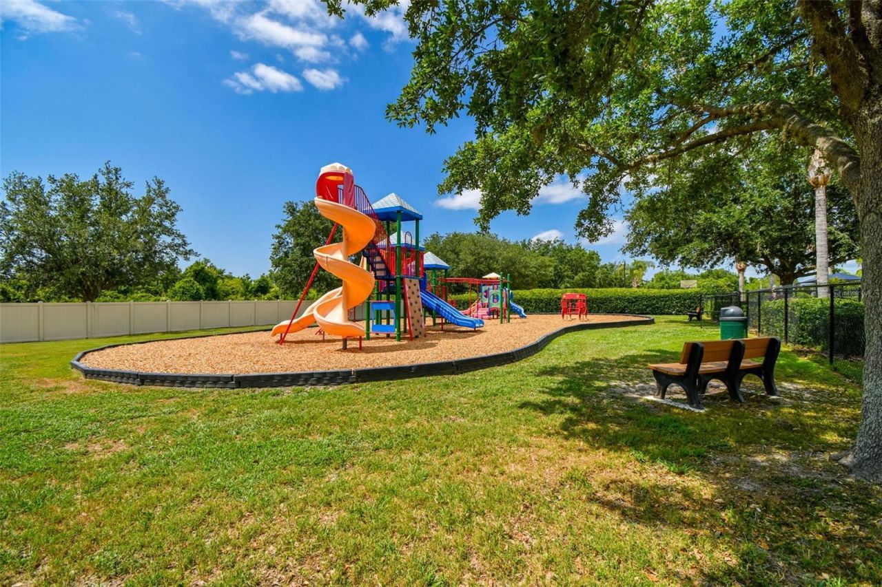 9515 Simeon Drive, Land O Lakes, FL 34638 Photo