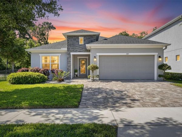 14121 CARISSA MEADOWS COURT , RIVERVIEW, FL 33569