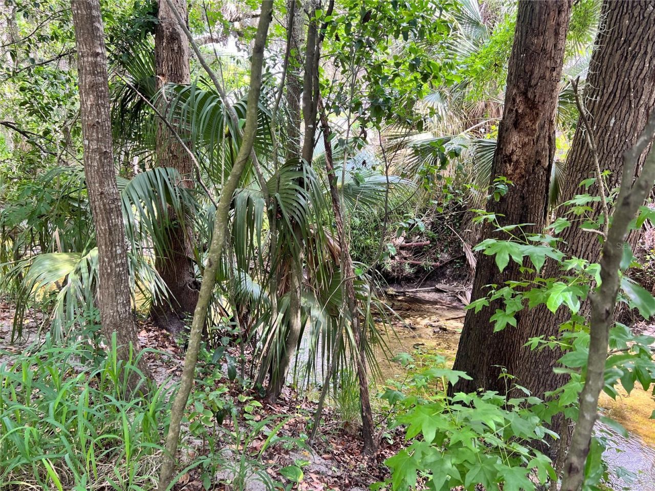652 Roaring Drive, Unit 230, Altamonte Springs, FL 32714 Photo