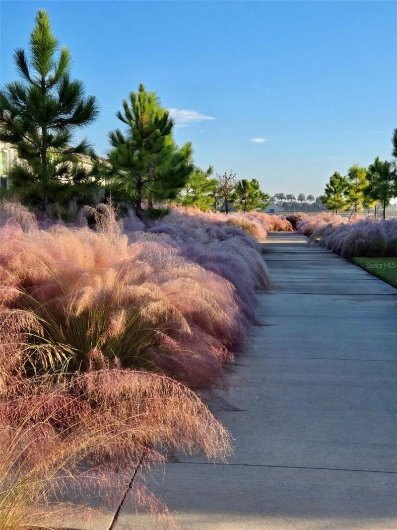 1104 Waterline Court, Sarasota, FL 34240 Photo