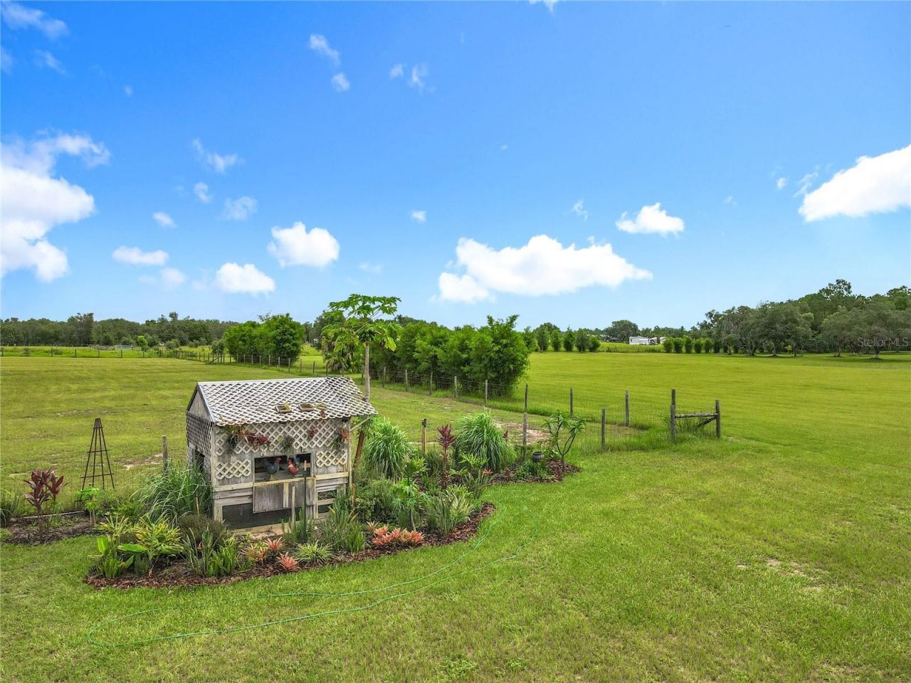 10220 & 10224 Bay Lake Road, Groveland, FL 34736 Photo