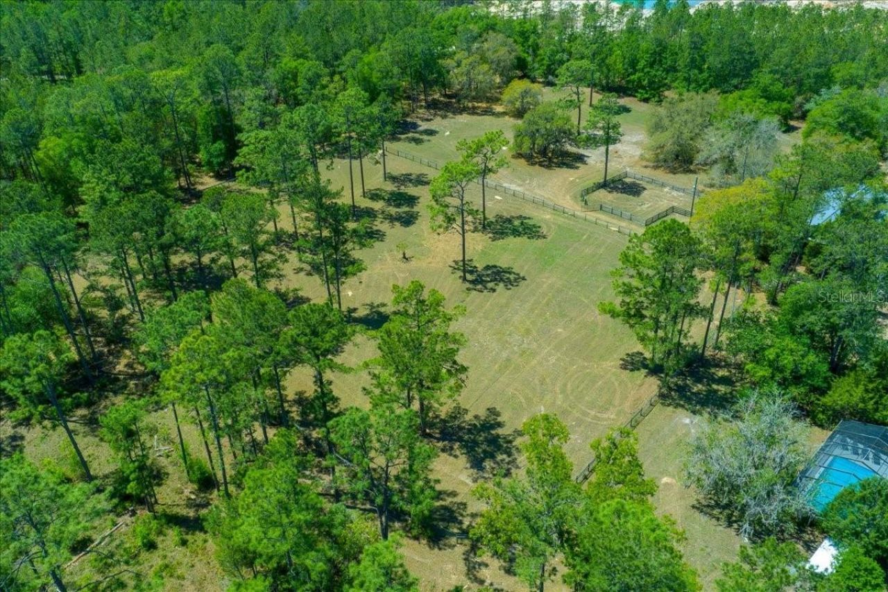 7808 NE 75th Street, Gainesville, FL 32609 Photo