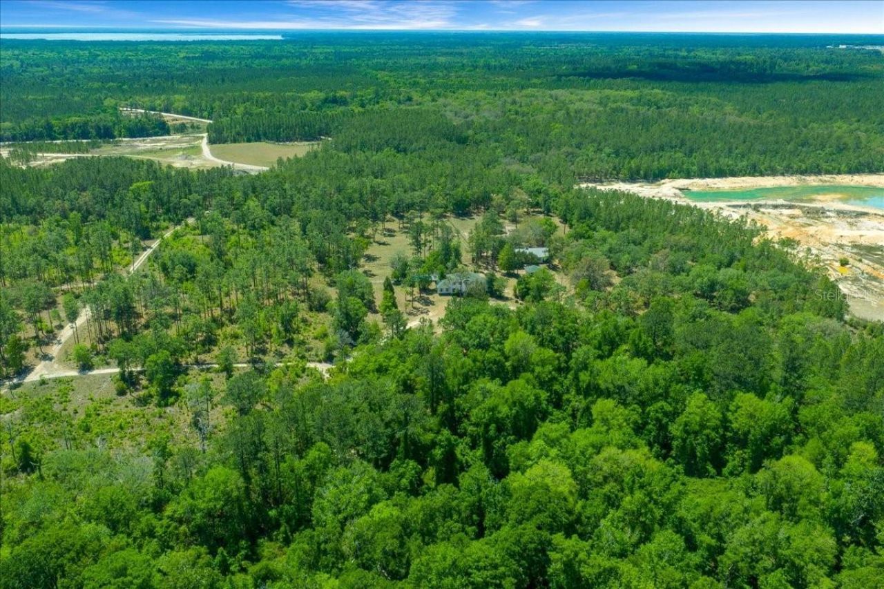 7808 NE 75th Street, Gainesville, FL 32609 Photo