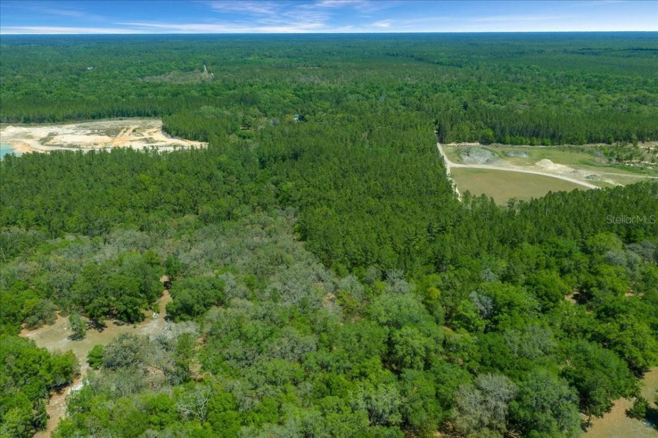 7808 NE 75th Street, Gainesville, FL 32609 Photo