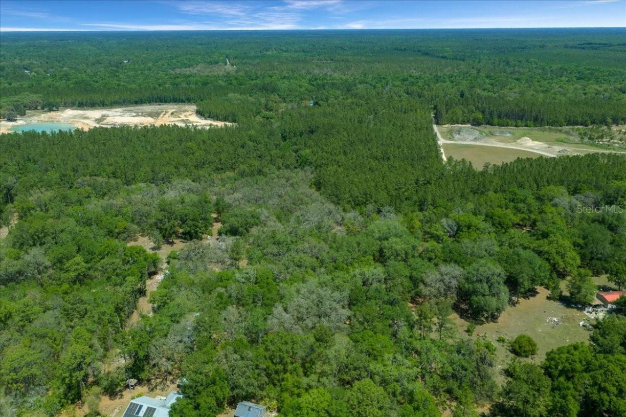 7808 NE 75th Street, Gainesville, FL 32609 Photo