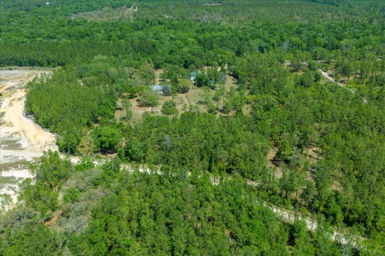 7808 NE 75th Street, Gainesville, FL 32609 Photo