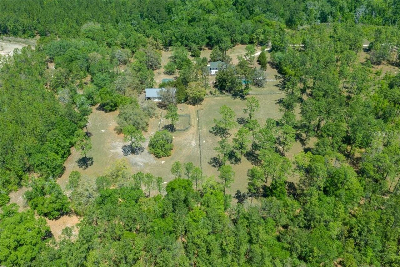 7808 NE 75th Street, Gainesville, FL 32609 Photo