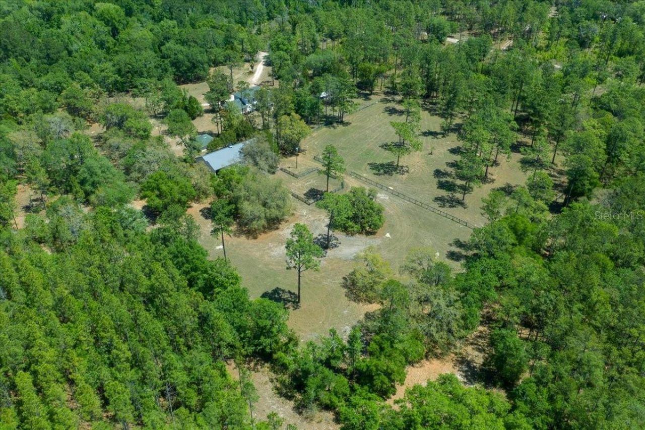 7808 NE 75th Street, Gainesville, FL 32609 Photo