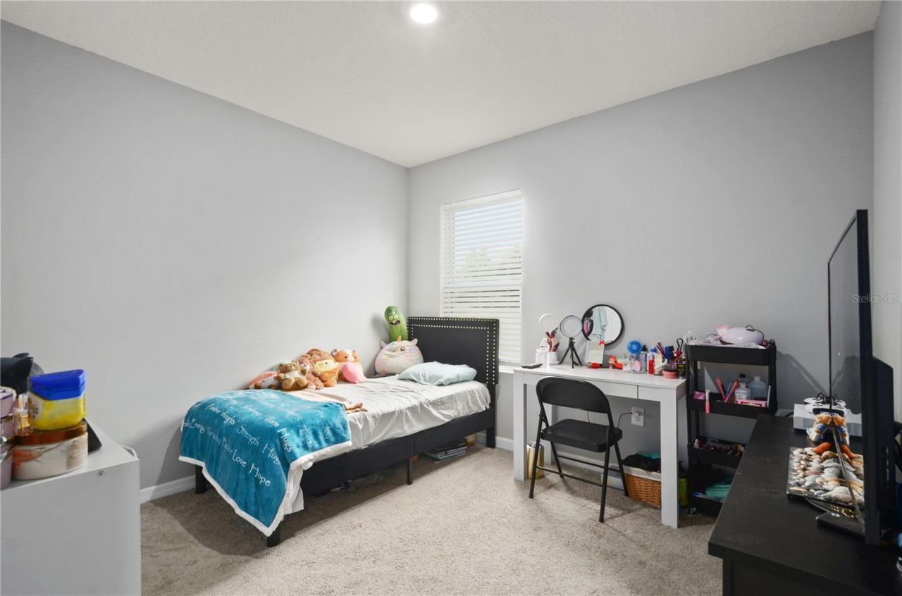 3235 Blue Crab Drive , Tavares, FL 32778 Photo