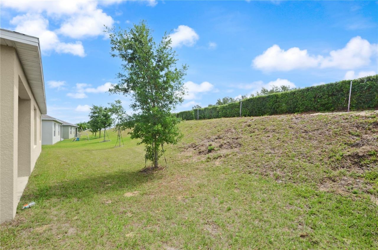 3235 Blue Crab Drive , Tavares, FL 32778 Photo