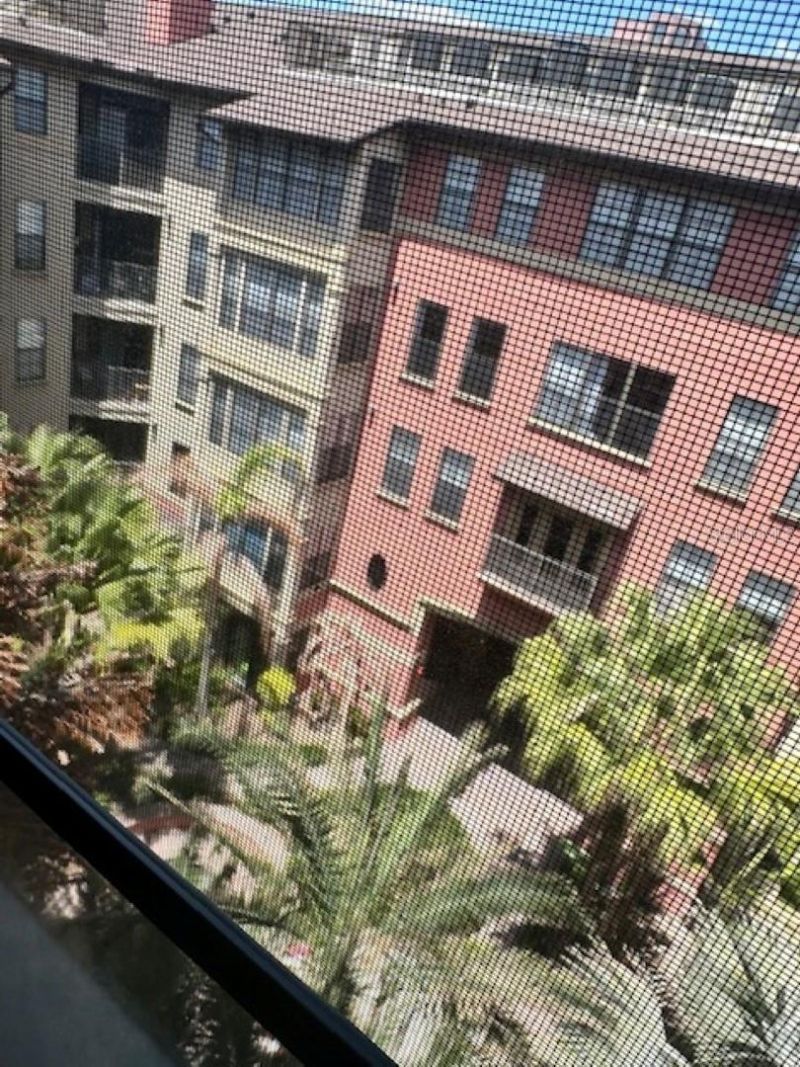 911 N Orange Avenue , Unit 520, Orlando, FL 32801 Photo