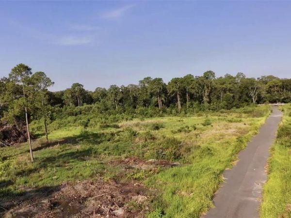 AVONWOOD, TAMPA, FL 33625