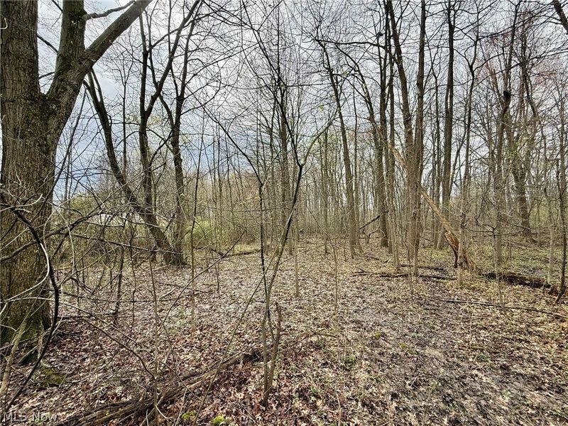 0 Mary Jane Drive, Girard, OH 44420 Photo 2