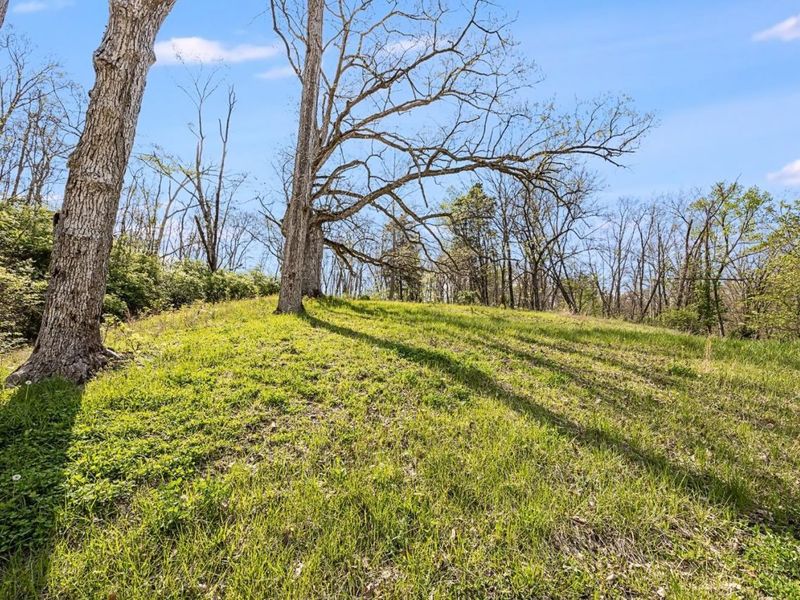 6590 River Road, Harrison, OH 45030 Photo 42