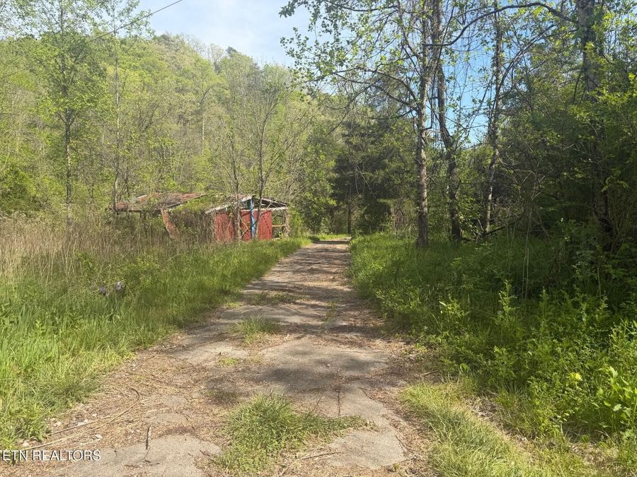 Property Image 13
