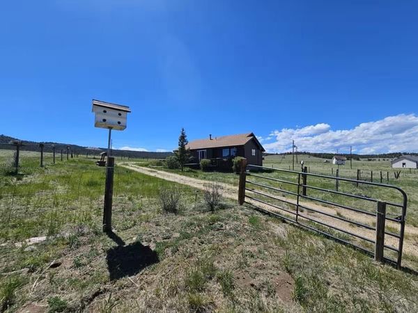 145 S Deer Mountain Trail, Florissant, CO 80816