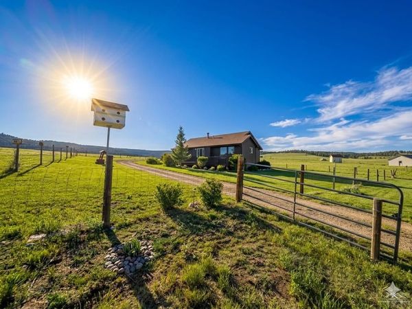 145 S Deer Mountain Trail, Florissant, CO 80816