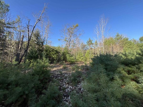 00 Simonsville Road, Unit Lot 3, Andover, VT 05143