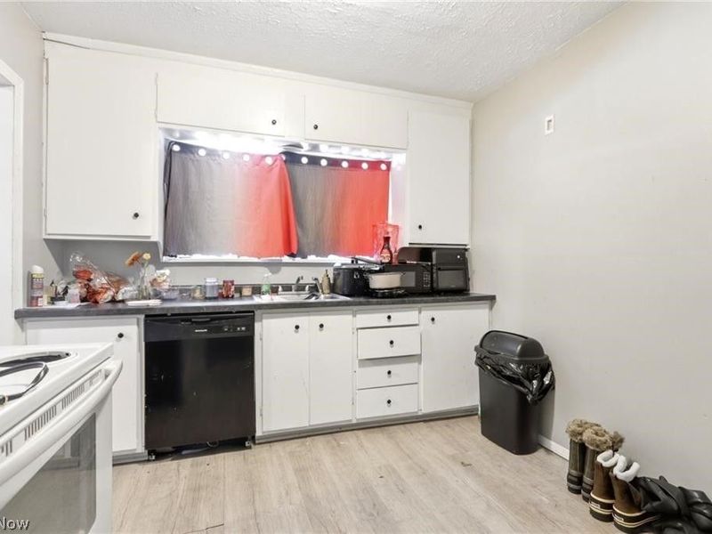 3319 W 111th Street, Cleveland, OH 44111 Photo 21