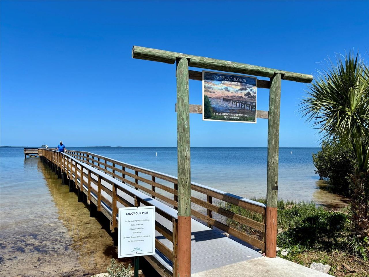 317 Crystal Beach Avenue , Crystal Beach, FL 34681 Photo