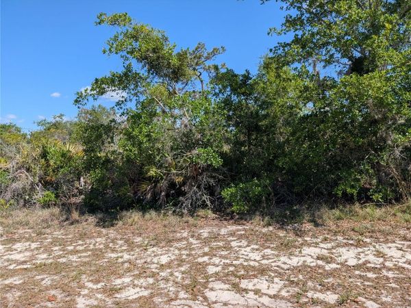 816 BOUGAINVILLE DRIVE , INDIAN LAKE ESTATES, FL 33855