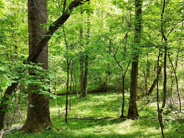 9426 Highway 315 , Sardis, MS 38666