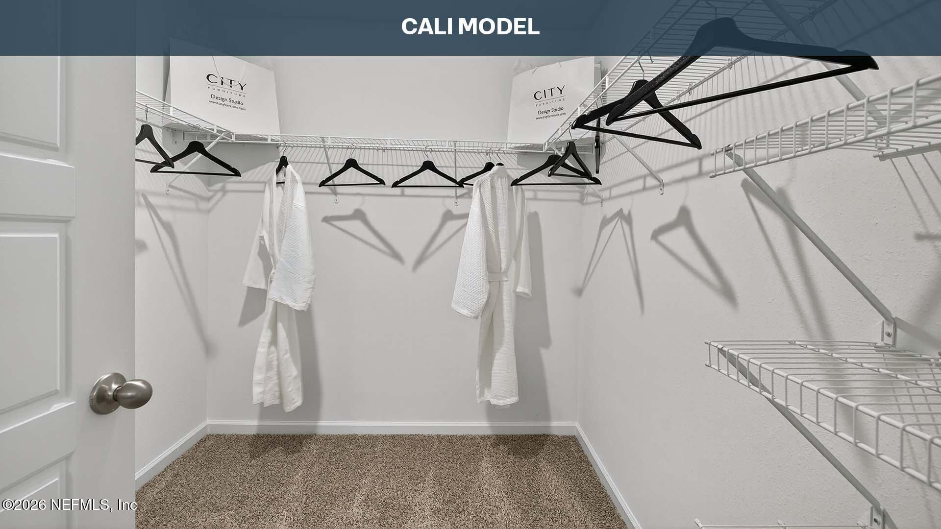 4517 White Ibis Lane, Green Cove Springs, FL 32043 Photo