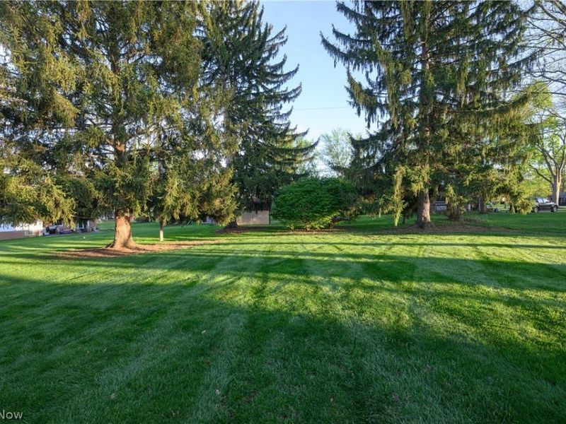 916 Buena Vista, Canton, OH 44714 Photo 29