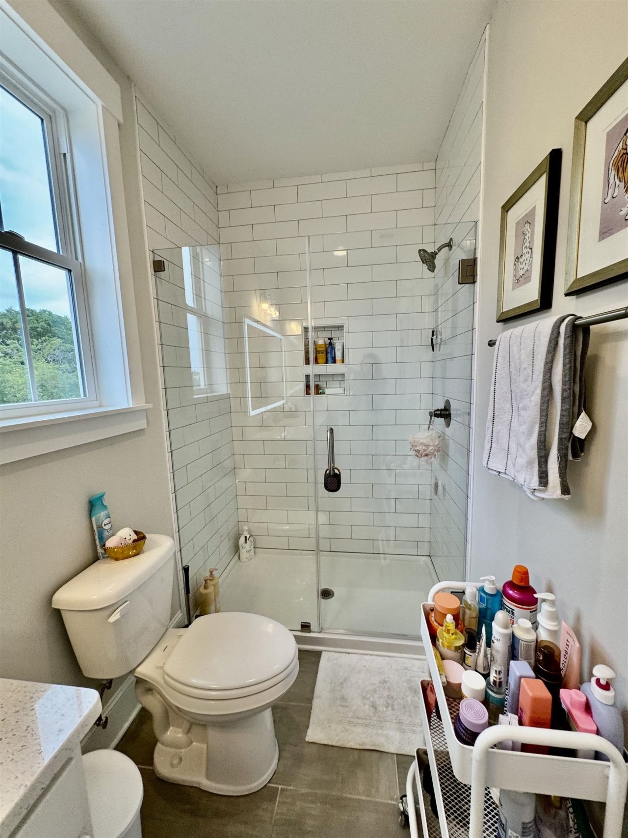 17 Carson Creek Dr.  Photo 29