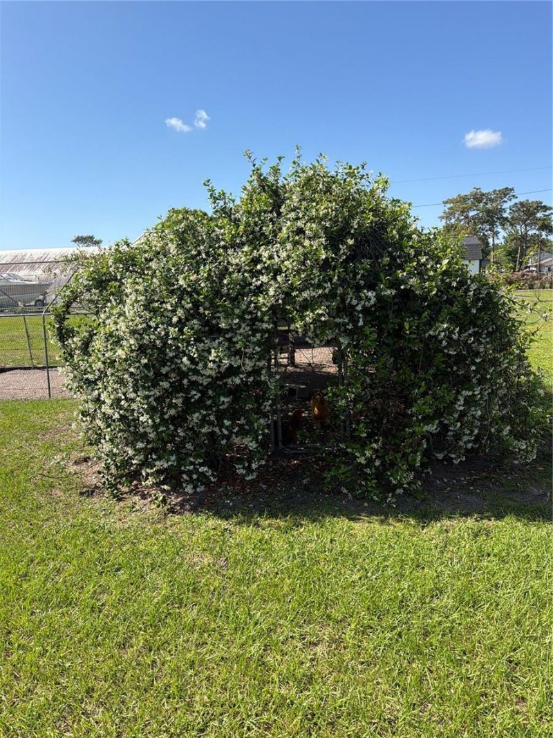 4245 Henry J Avenue , Saint Cloud, FL 34769 Photo