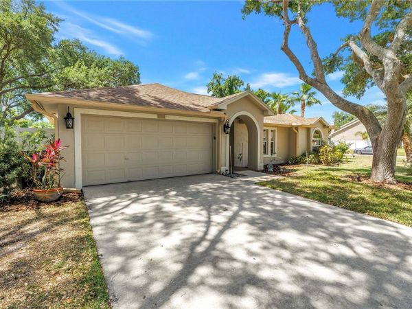 5810 BITTER ORANGE AVENUE , TAMPA, FL 33625