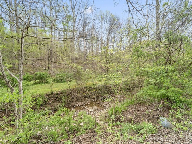 548 Mershon Road , West Portsmouth, OH 45663 Photo 122