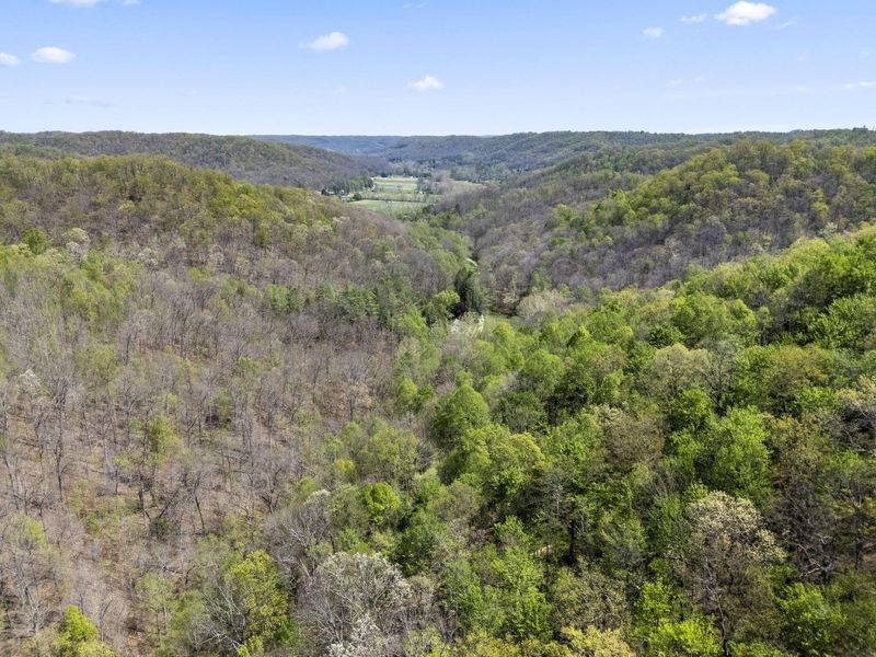 548 Mershon Road , West Portsmouth, OH 45663 Photo 139