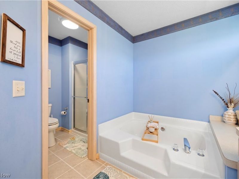 945 Red Tailed Lane, Amherst, OH 44001 Photo 32