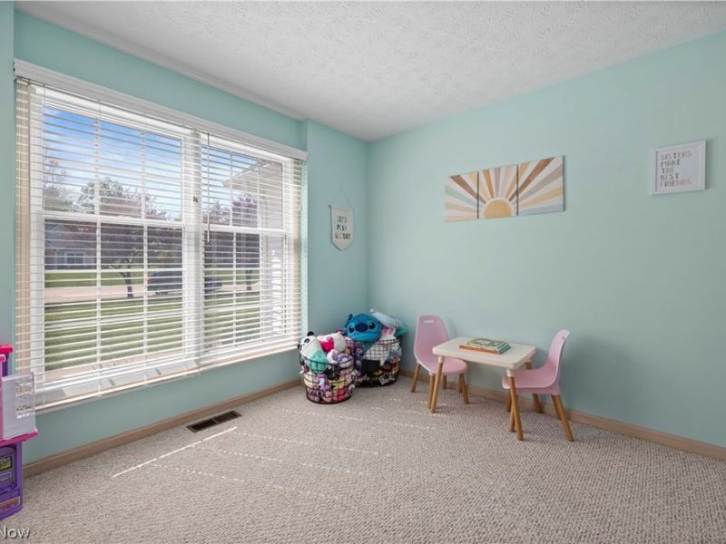 945 Red Tailed Lane, Amherst, OH 44001 Photo 4