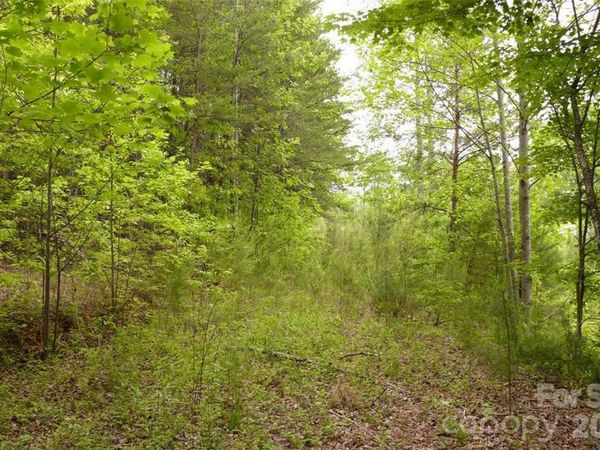 0 Vineyards Way , Lake Lure, NC 28746