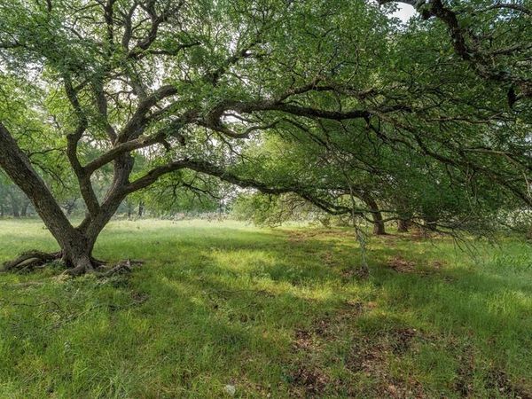 254 Guadalupe Drive, Oglesby, TX 76561