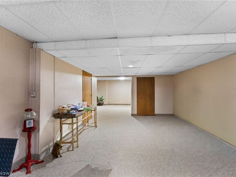 98 Jade Circle, Canfield, OH 44406 Photo 12