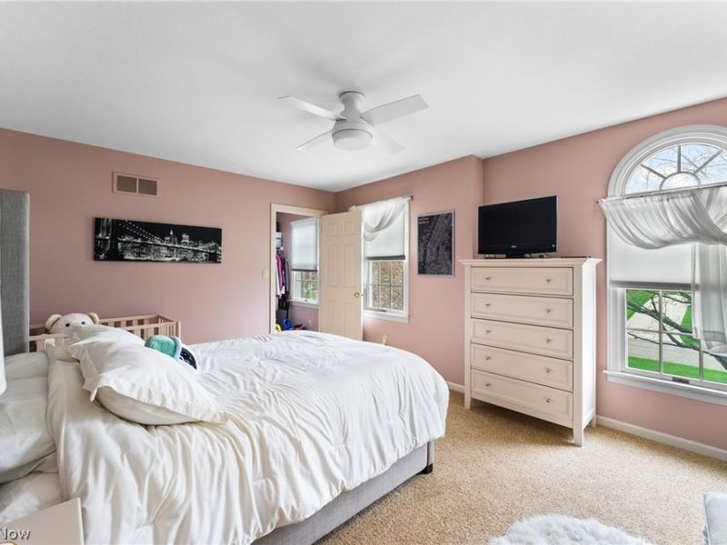 98 Jade Circle, Canfield, OH 44406 Photo 15