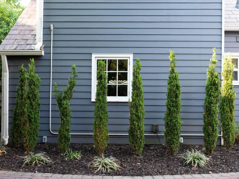 172 Rustic Place, Columbus, OH 43214 Photo 116