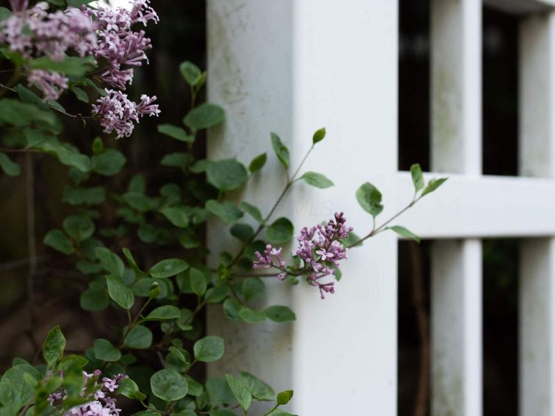 172 Rustic Place, Columbus, OH 43214 Photo 121