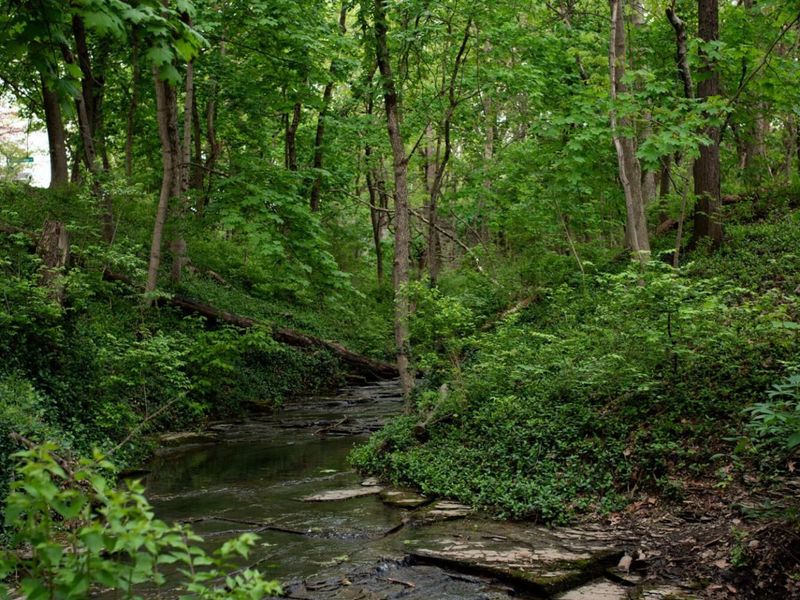 172 Rustic Place, Columbus, OH 43214 Photo 135