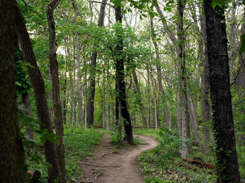 172 Rustic Place, Columbus, OH 43214 Photo 138