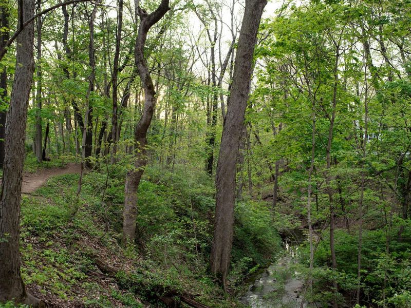 172 Rustic Place, Columbus, OH 43214 Photo 139