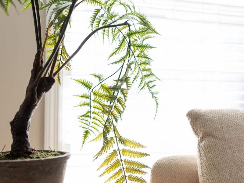 172 Rustic Place, Columbus, OH 43214 Photo 35