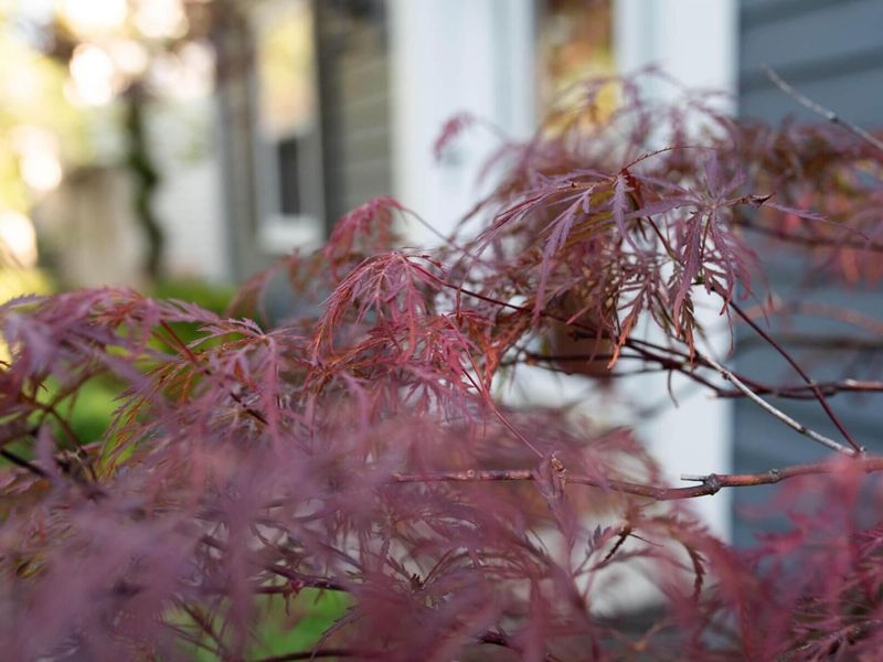 172 Rustic Place, Columbus, OH 43214 Photo 8