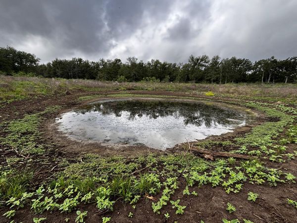 747 County Road 467, Thrall, TX 76578