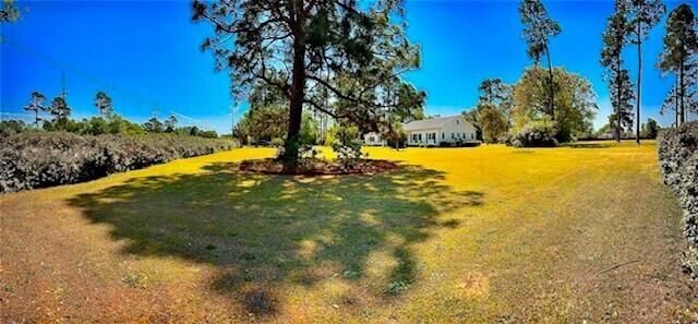 3283 North Road Photo 6