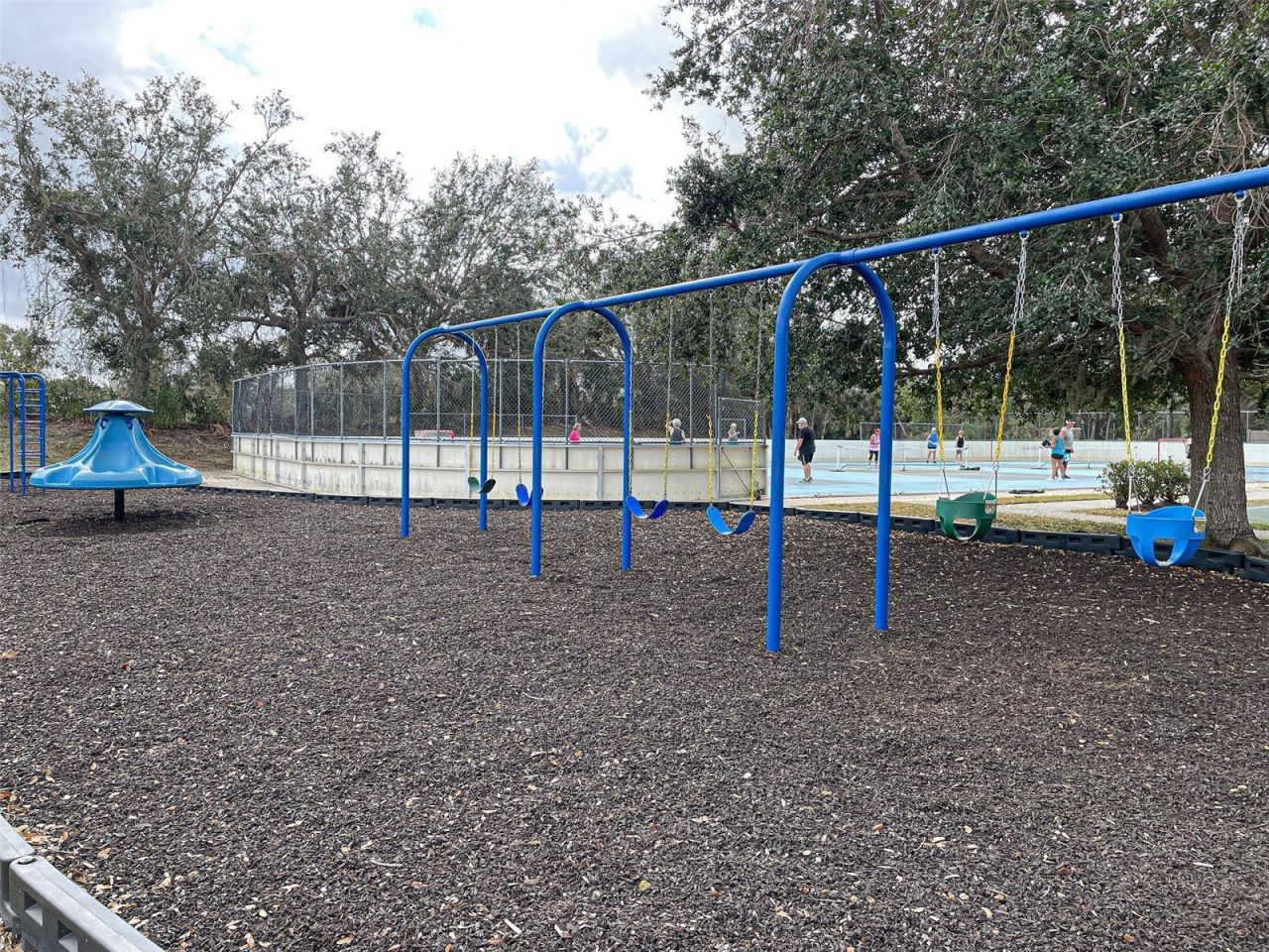 11993 Tempest Harbor Loop, Venice, FL 34292 Photo